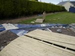 garden design, garden maintenance