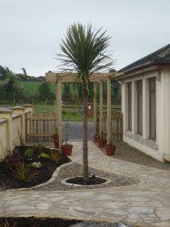 Kilkenny garden design, garden construction